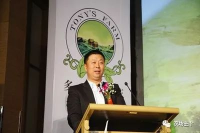 在狂投2.2亿之后,他终于想明白一件事……