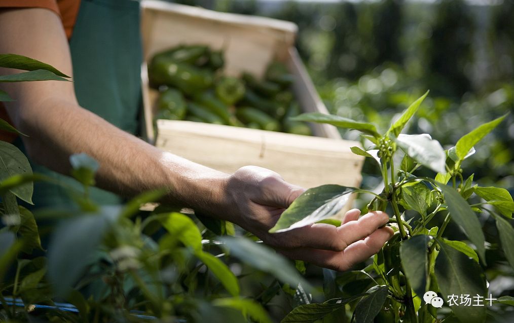 在狂投2.2亿之后,他终于想明白一件事……