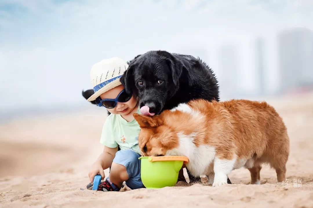 被狗舔了一下会感染狂犬病吗,伤口流血了被狗舔会得狂犬病吗