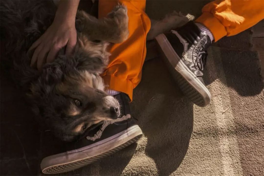 第一家敢动Vans“奶酪”的店铺，是核心Vans玩家的最爱