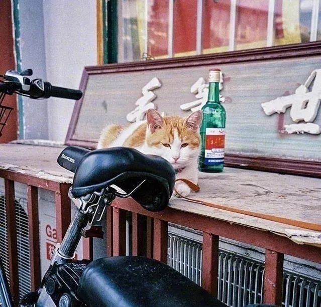 夜读在人生的低谷中安然前行,夜读人生其实很简单别总是逼自己