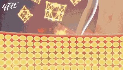 从穿s码到xl码的境界,从xl到s的蜕变