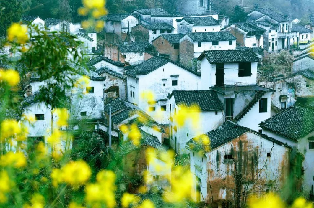 这家扎根在花海的悦榕庄即将迎来暖意春天！千元直降还含SPA,高铁1.5h!