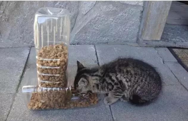 易拉罐的三种再利用方法,原来易拉罐还可以这么用