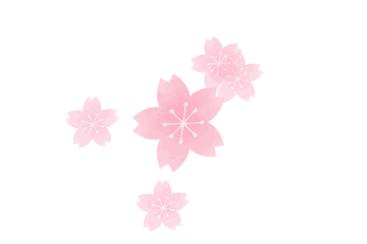 2019年日本大赏排行榜,2018全日本赏樱花旅游攻略