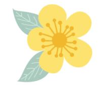 三八女神节吃喝玩,女神三八节大餐