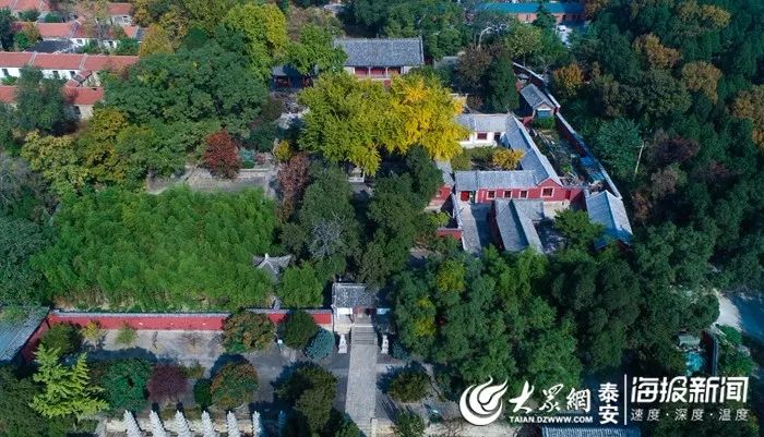 泰山山东景区门票降价,泰山景区门票优惠政策