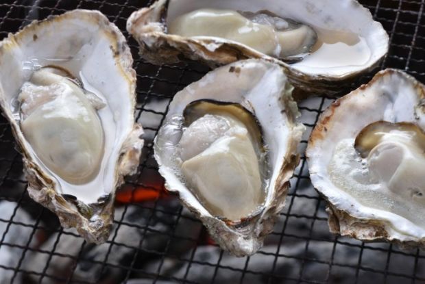 日本东京动物园一日游攻略,日本最值得去的小动物