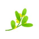 寻甸良红口腔诊所,寻甸良红牙科诊所