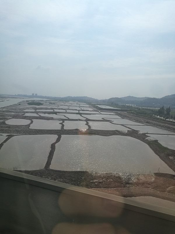厦门夜晚必去的地方美食,厦门海边美食推荐