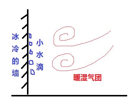 太阳闪现，回南天到！赶紧收好这份“内服外用”祛湿指南