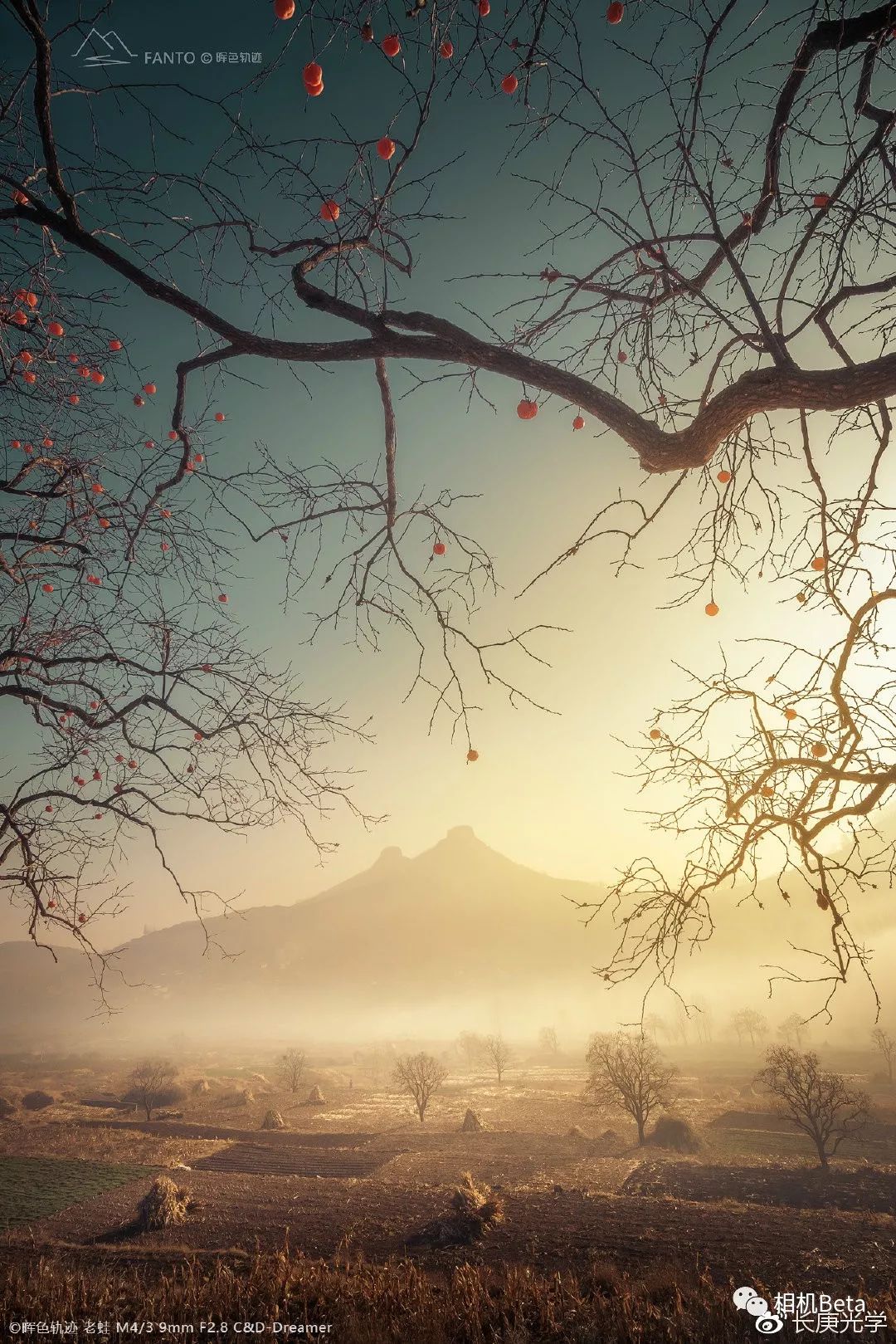 CP+2019展会看点，提前给你看