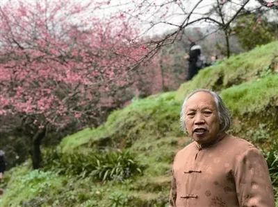 免费开放会文雅！诸暨“梅痴”耗时36年打造一座隐世“梅山”……