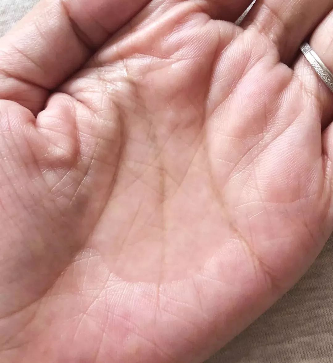 空瓶记推荐2017,空瓶记好物安利