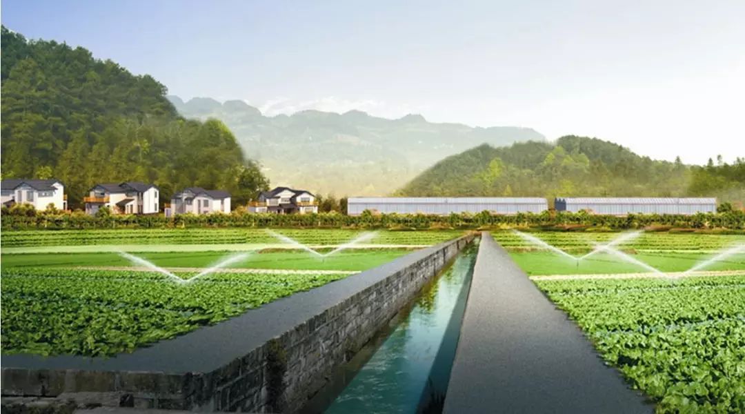 真相揭秘:化肥为什么被称为“土地*片鸦**”