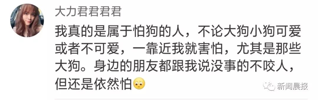 又是遛狗不牵绳！泰迪起身走了两步吓得老人摔成9级伤残，狗主人被判赔20万！