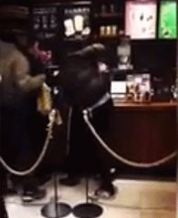 星巴克猫爪杯打架完整版,星巴克应对猫爪杯事件