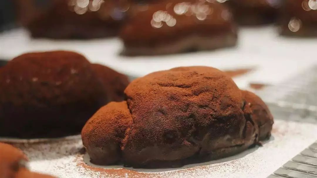 猫爪杯的测评,猫爪杯