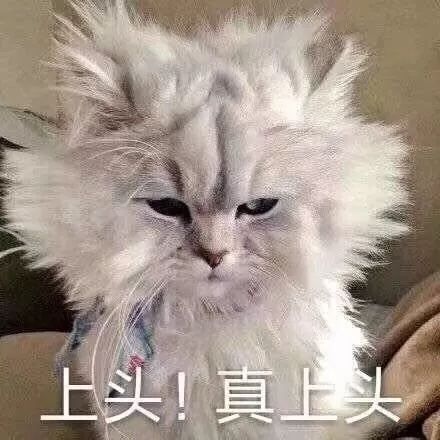 他为什么如此疯狂？“逃跑”+连撞20多米护栏！