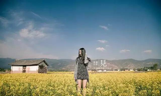 拍照油菜花技术技巧,手机拍摄油菜花人像摄影方法