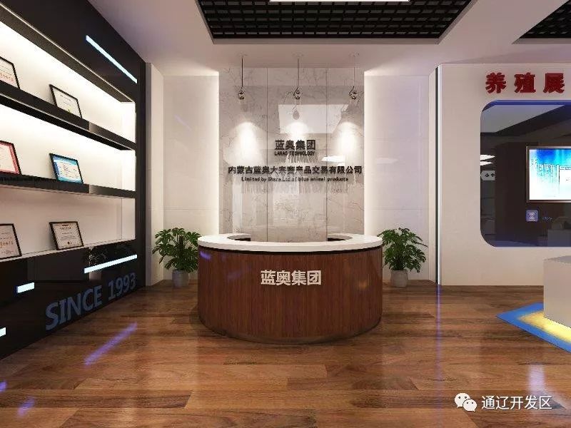 「活力开发区频道」2019年3月3日星期日