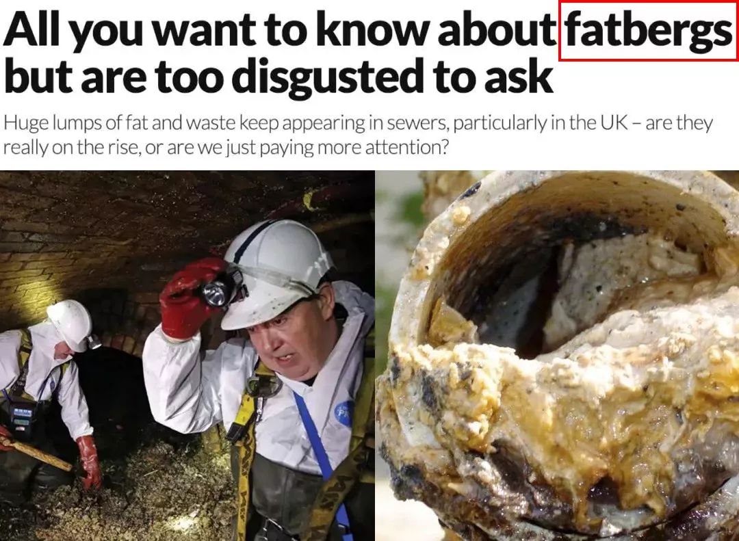 别再把炒菜费油倒水池里了!后果很恐怖