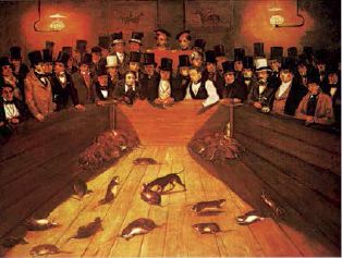 人类最伟大与最糟糕的发明,关于人类不可思议的发明