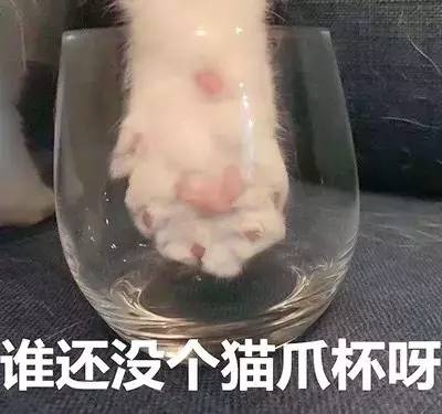 星巴克2018春季樱花,星巴克浪漫樱花系列