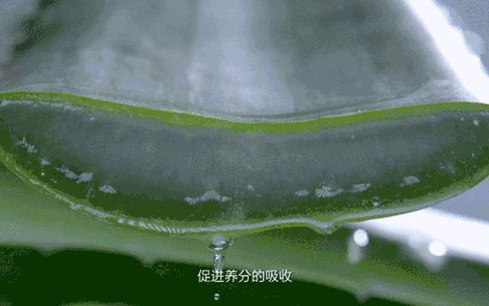 张柏芝同款防晒霜辨真假,明星黄圣依卖的防晒霜