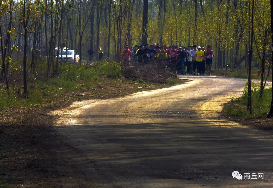 “懂菜农业”杯第七届黄河故道湿地花海徒步穿越路标已布置完成，快来认识一下！