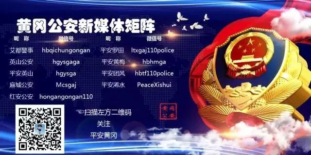 湛江市警方抓捕电信网络诈骗,平安团风荆楚行动