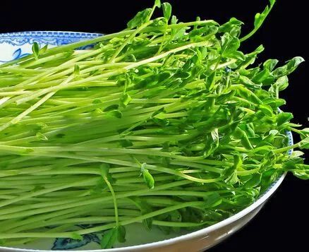 宿州野菜,挖野菜的视频火了