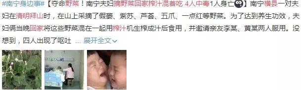 宿州野菜,挖野菜的视频火了