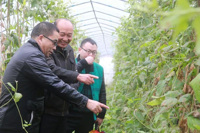 金融支持三农发展,信贷支持三农的政策文件