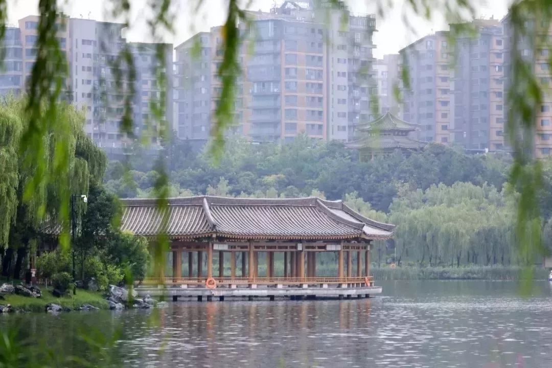 旅游微刊|西安的春天是粉色的！