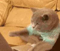 bbc外语工作,用英语工作的优缺点