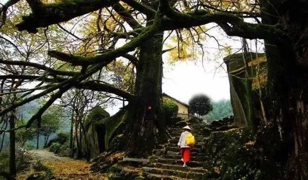 江西的美丽地方,江西省的美丽的地方