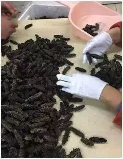 早上空腹吃它是“百补之王”补肝强肾、延年益寿,现在知道还不晚……