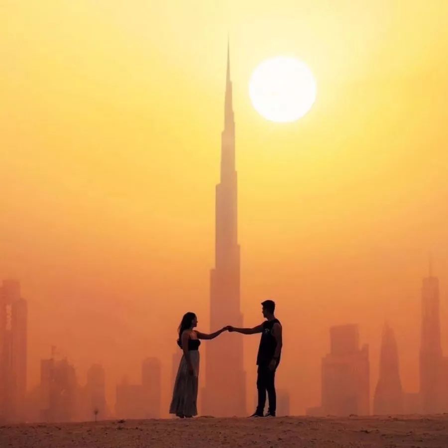 迪拜商务考察团,阿拉伯代表团