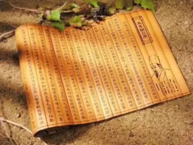 小心肝护肝茶有用吗,小心肝茶叶是什么茶