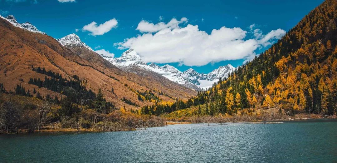 四姑娘山11月越野跑,2024四姑娘山云间花径越野跑