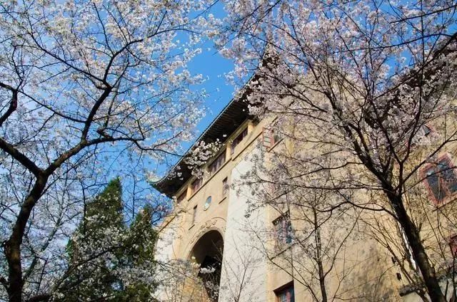 2021深航冬春国际航线,深航航线