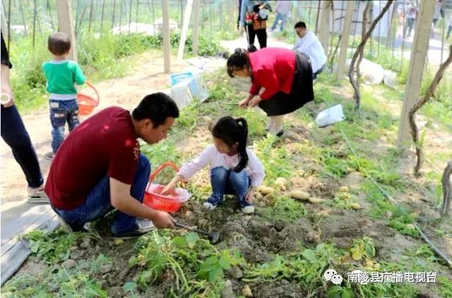 南陵县乡村旅游攻略,南陵县十大旅游景点有哪些