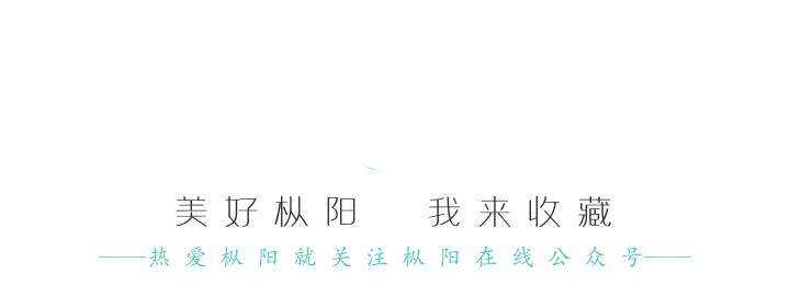 辉煌“十三五”开启新征程|枞阳教育体育事业实现新跨越
