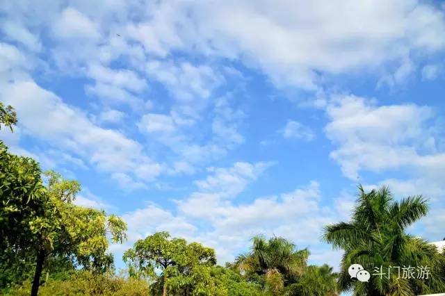 去年一整年,斗门空气质量怎么样?数据来说话!