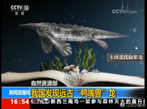 鸭嘴兽奇怪的地方在哪里,奇怪的鸭嘴兽