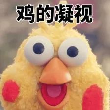 生病鸡杀了哪些部位不能吃,鸡哪些部位不能吃