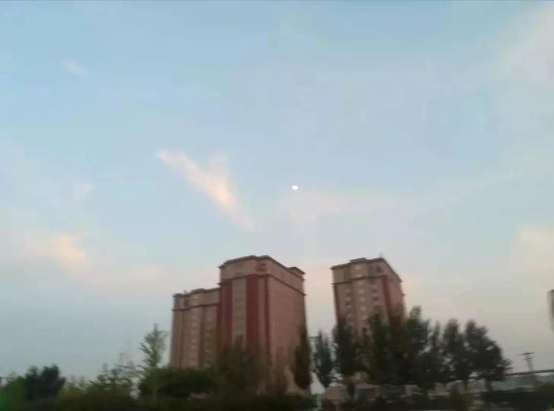 你今天真好看莉兹克里莫,你今天真好看吖