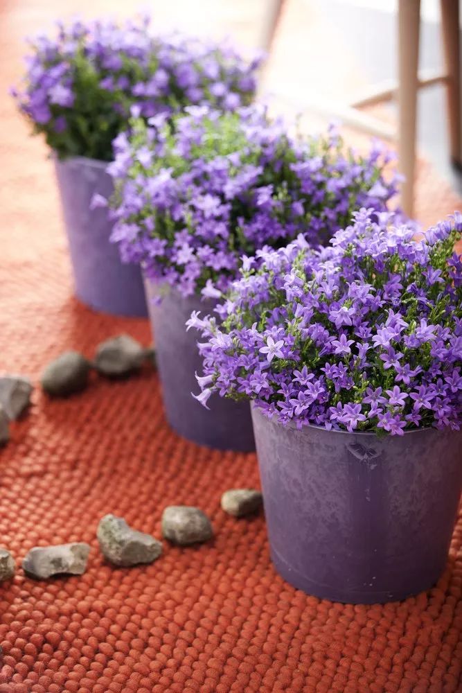 三个方法看透所有谎言,三个方法辨别谎言