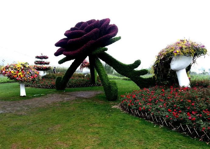 景观花海攻略,花海踏春旅游景点
